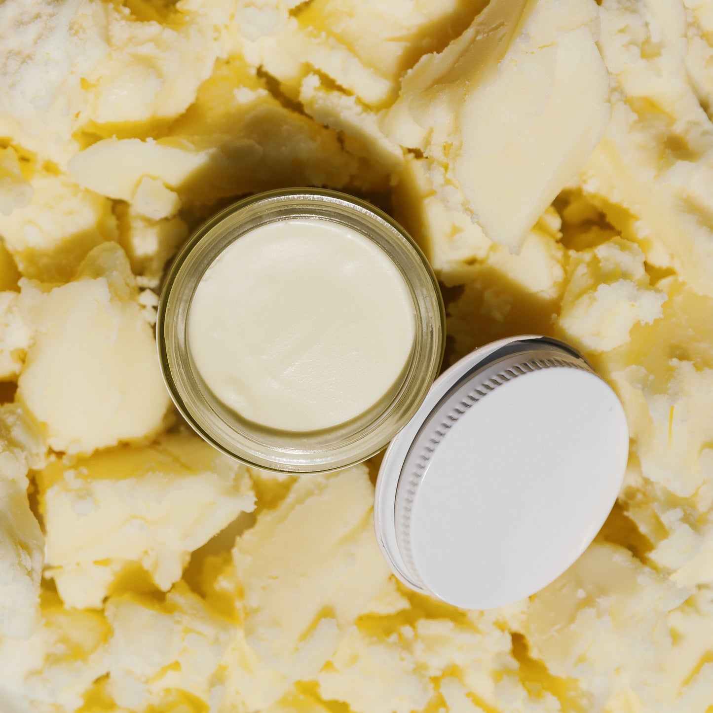 bare tallow balm